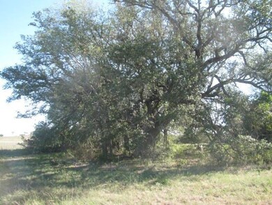 156 Legend Oaks, Moody, TX 76557 - photo 2