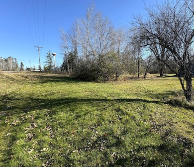 TBD 302xx 480th St, Palisade, MN 56469 - photo 7