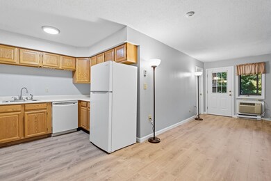 227 Main St unit 321, Lincoln, NH 03251 - photo 4