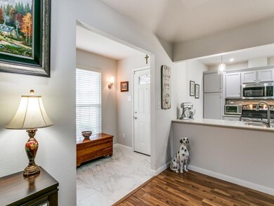 8701 Copper Canyon Rd, North Richland Hills, TX 76182 - photo 5