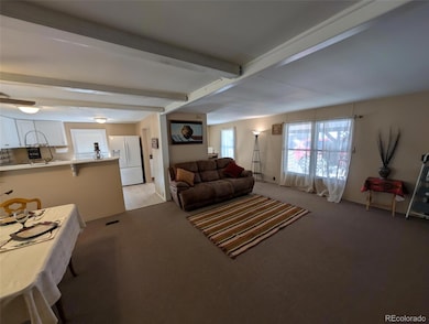 3500 S King St unit 14, Denver, CO 80236 - photo 3