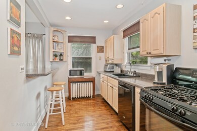 405 W 2nd St, Elmhurst, IL 60126 - photo 7