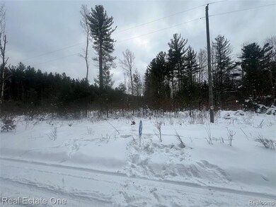 V/L 1 Mile Rd, Ellsworth Township, MI 49655 - photo 3
