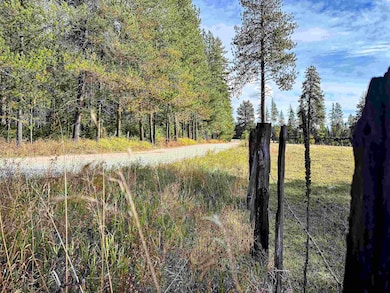 320871 U S Highway 2, Newport, WA 99156 - photo 4