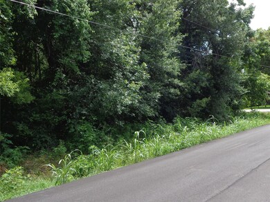 0 Bay Ct unit 98964112, Brazoria, TX 77422 - photo 6