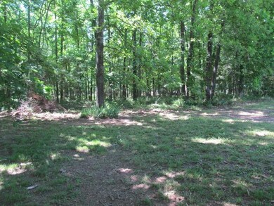 111 Lantern Ln, Shelbyville, TN 37160 - photo 5