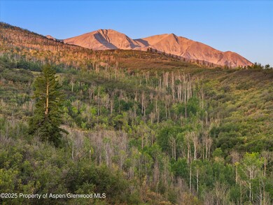 TBD Old Herron Rd unit Lot 48, Basalt, CO 81621 - photo 4