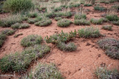 Ground