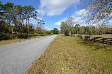 12076 Pasco Trails Blvd, Spring Hill, FL 34610 - photo 3