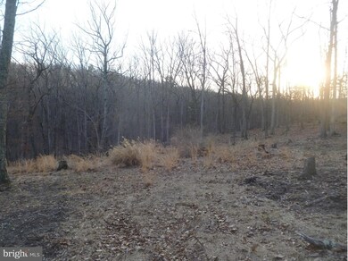 0 Kentucky Ln unit 1002815960, Berkeley Springs, WV 25411 - photo 5