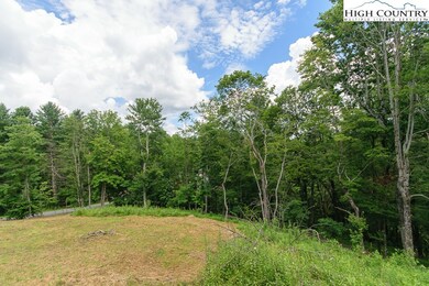 TBD Yarrow Ln, Boone, NC 28607 - photo 4