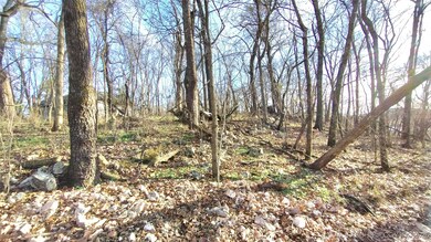 474726 E 660 Rd, Westville, OK 74965 - photo 4