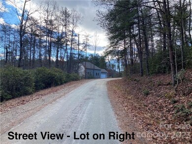 Lot 117 Sanderling Ct, Lake Lure, NC 28746 - photo 5