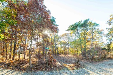 0 Shawanue Ave unit 32400336, Oak Bluffs, MA 02557 - photo 3