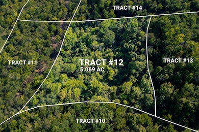 Tract 12 Indiana 156, Patriot, IN 47038 - photo 2