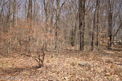 6 Paiute Path, Pocono Lake, PA 18347 - photo 6