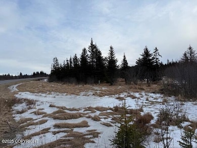 26220 Sterling Hwy, Anchor Point, AK 99556 - photo 3