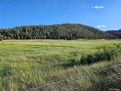 PCS# 4519 & 4520 Colorado 24, Hartsel, CO 80449 - photo 3