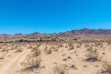 6224 Pelican Ave, Joshua Tree, CA 92252 - photo 6