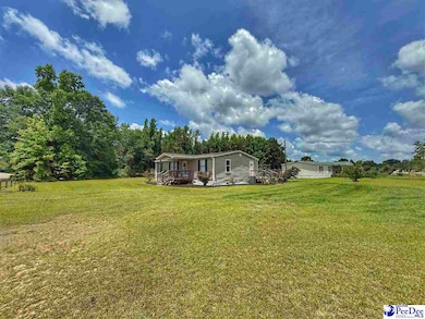 2252 Jake Dr, Dillon, SC 29536 - photo 5