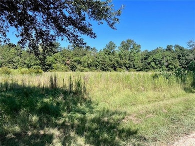 Parcel E Peters Rd, Madisonville, LA 70447 - photo 2