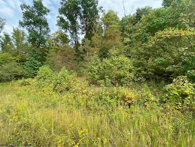 TBD Helens Run Rd, Worthington, WV 26591 - photo 6
