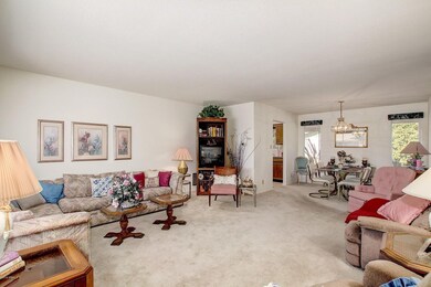 0004-Albany - 6528 (8)