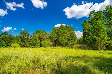 14799 Farm To Market 315, Palestine, TX 75803 - photo 3
