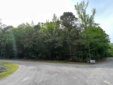 0 Stoney Point Rd, Heber Springs, AR 72543 - photo 4