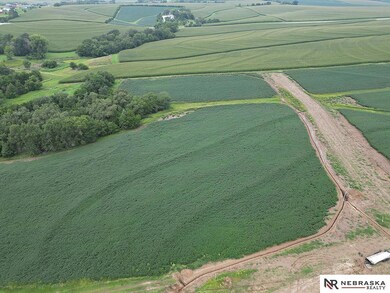 Lot 4 Cornish Rd, Springfield, NE 68059 - photo 7