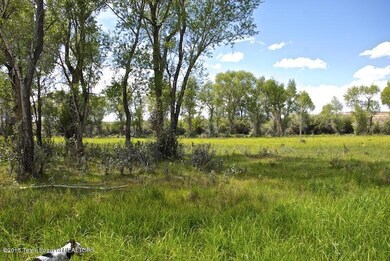 Paradise on New Fork