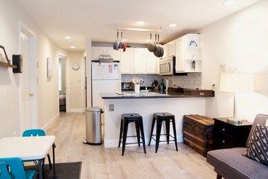108 E Brookline St unit 1, Boston, MA 02118 - photo 4