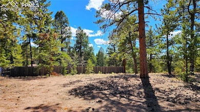 178 Gerka Ln, Florissant, CO 80816 - photo 2