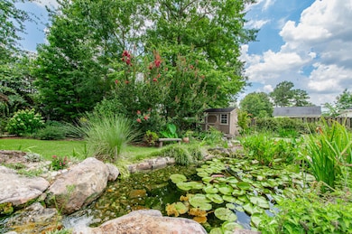 Koi Pond