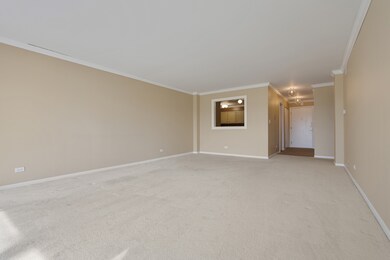441 N Park Blvd unit 3E, Glen Ellyn, IL 60137 - photo 6