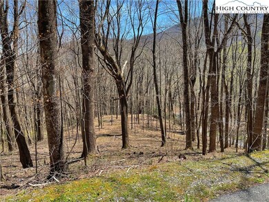 TBD Grandfather Farms Rd, Banner Elk, NC 28604 - photo 2