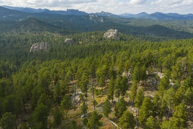 TBD Trackers Trail, Keystone, SD 57751 - photo 5