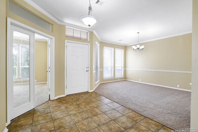 10631 Rainbow View, Helotes, TX 78023 - photo 4