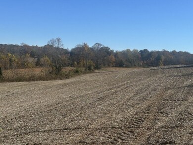 0 Old Kentucky Rd, Sparta, TN 38583 - photo 4