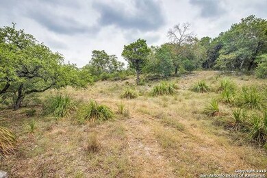 24380 Scenic Loop Rd, San Antonio, TX 78255 - photo 7
