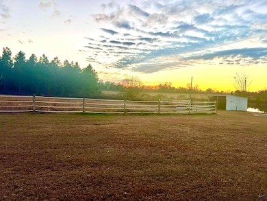 238 Wilson Woodard Rd, Eastman, GA 31023 - photo 3