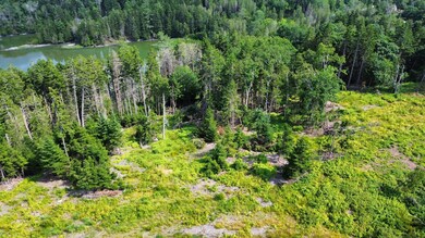dji_fly_20240713_154002_884_172091594351