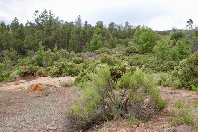 882 Geronimo Ln, Show Low, AZ 85901 - photo 3