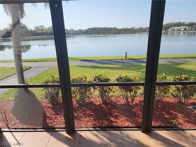 View From Porch