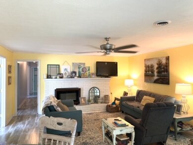 Den has fireplace
