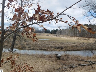 701 Grey Rd, West Branch, MI 48661 - photo 4