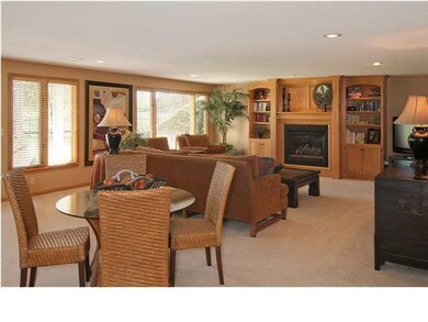 LOWER LEVEL FAMILY ROOM