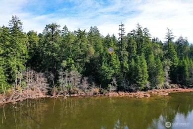 11024 Matthews Way, Anderson Island, WA 98303 - photo 6