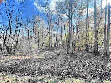 0 Pond Branch Rd unit Lot 4 (6.52 acres), Buena Vista, TN 38318 - photo 4