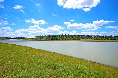 413 Carrara Dr, Summerville, SC 29486 - photo 6